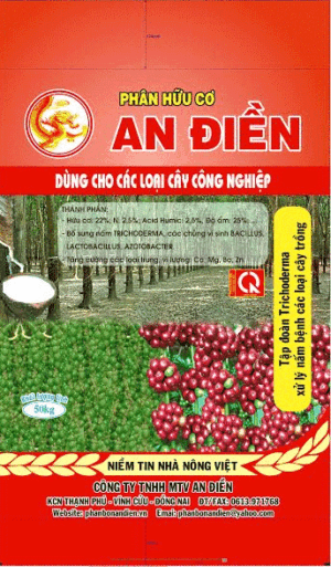 Công Ty TNHH MTV An Điền