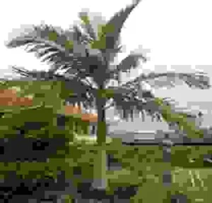 Công Ty Cổ Phần Kiến Trúc Gia Việt (Cây Xanh Miền Trung)