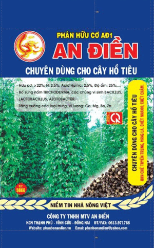 Công Ty TNHH MTV An Điền