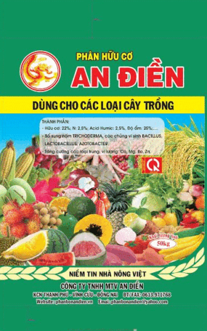 Công Ty TNHH MTV An Điền