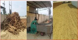 Công Ty TNHH Một Thành Viên Hào Hiếu