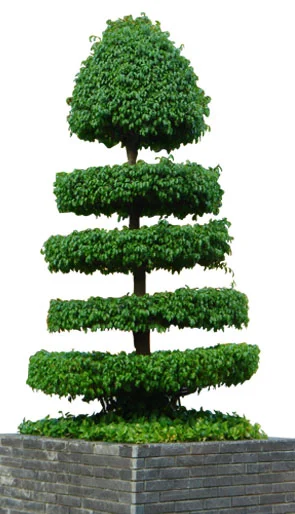 Công Ty Cổ Phần Đầu Tư Phú Đạt