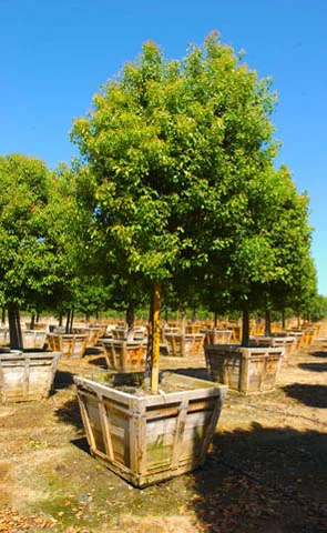 Công Ty Cổ Phần Đầu Tư Phú Đạt