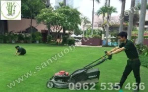 Công Ty Cổ Phần Ngũ Sắc