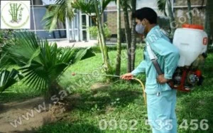 Công Ty Cổ Phần Ngũ Sắc