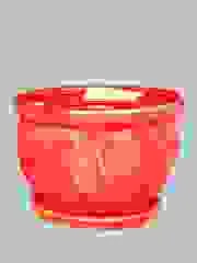 Doanh Nghiệp Tư Nhân Thành Công