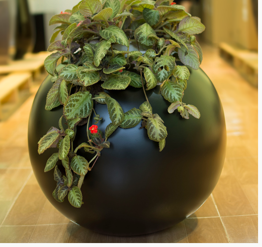 Nhựa Composite MG Việt Nam – Công Ty Cổ Phần Vật Liệu Mới MG Việt Nam