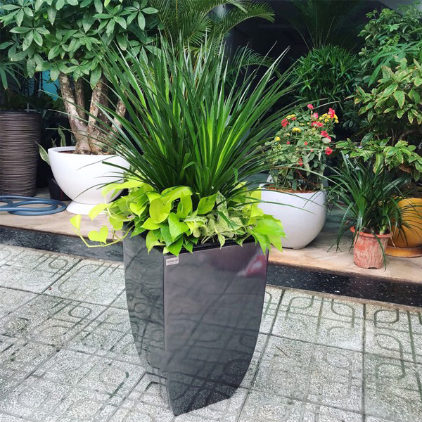 Nhựa Composite MG Việt Nam – Công Ty Cổ Phần Vật Liệu Mới MG Việt Nam