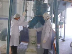 Công Ty Cổ Phần Khoáng Sản Công Nghiệp Miền Bắc