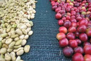 Công Ty Đầu Tư Và Xuất Nhập Khẩu Hoàng Long