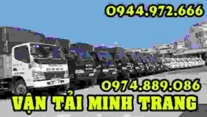 Vận Tải Hoàng Minh Trang – Công Ty TNHH Kinh Doanh Vận Tải Hoàng Minh Trang