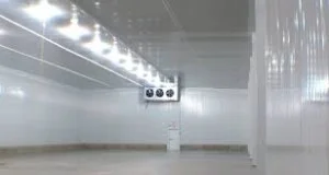 Thủy Sản Minh Trân – Công Ty TNHH Thủy Sản Minh Trân