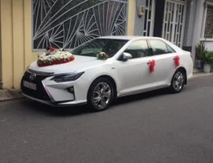 Công Ty TNHH StartJobs