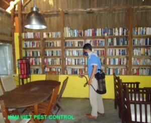 Công Ty TNHH Thương Mại Và Dịch Vụ Trừ Mối Nam Việt