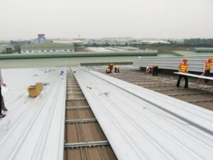 Công Ty Cổ Phần ERADO Việt Nam