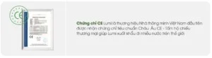 Công Ty Cổ Phần Lumi Việt Nam