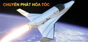 Công Ty TNHH Thương Mại – Dịch Vụ Long Hưng Phát