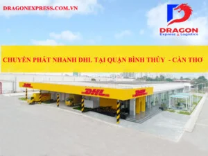 Chi Nhánh – Công Ty TNHH Chuyển Phát Quốc Tế Rồng Việt