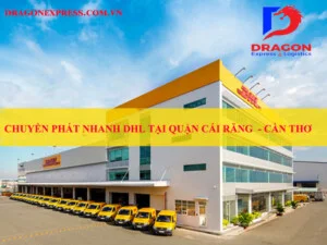 Chi Nhánh – Công Ty TNHH Chuyển Phát Quốc Tế Rồng Việt