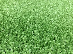 Công Ty TNHH Xuất Nhập Khẩu Tân Minh Thịnh Phát