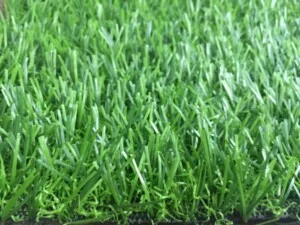 Công Ty TNHH Xuất Nhập Khẩu Tân Minh Thịnh Phát