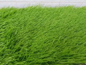 Công Ty TNHH Xuất Nhập Khẩu Tân Minh Thịnh Phát