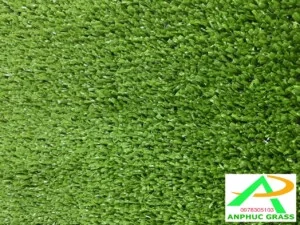 Cỏ Nhân Tạo An Phúc – Công Ty TNHH Dịch Vụ Xây Dựng Thể Thao An Phúc