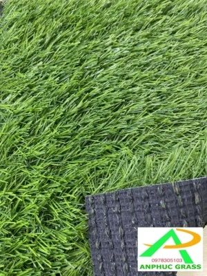Cỏ Nhân Tạo An Phúc – Công Ty TNHH Dịch Vụ Xây Dựng Thể Thao An Phúc