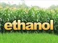 Cồn Thiên Long – Công Ty TNHH Thương Mại Dịch Vụ Sơn Thiên Long