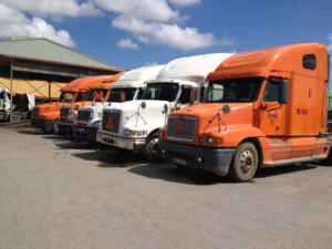 Công Ty Trách Nhiệm Hữu Hạn Lê Chân