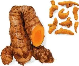 Công Ty TNHH Hải Mạnh Bắc Ninh