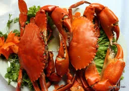 Cua Biển Việt Nam