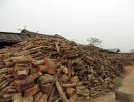 Công Ty TNHH Một Thành Viên Thương Mại Toàn Phát Tài