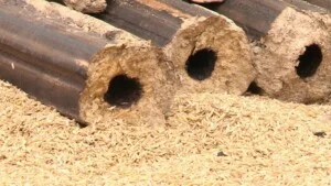 Công Ty TNHH Thương Mại Trần Đình Khoa