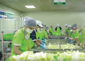 Công Ty TNHH FOSECA Việt Nam