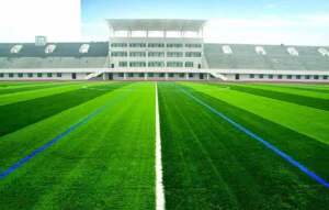 Công Ty TNHH Đầu Tư Thương Mại Phương Thành Ngọc