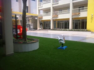 Công Ty TNHH Đầu Tư Thương Mại Phương Thành Ngọc