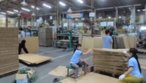 Cung ứng Lao Động Đại Thiên Phúc – Công Ty TNHH Đầu Tư Thương Mại Dịch Vụ Đại Thiên Phúc