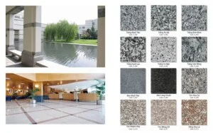 Công Ty TNHH Thạch Hưng Phú