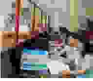 Công Ty TNHH TM Đỉnh Vàng