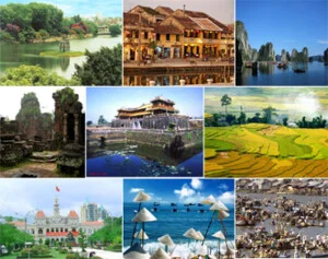 Công Ty TNHH DV TM Du Lịch Rồng Việt