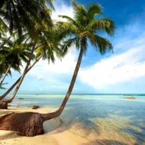 Vé Máy Bay Hải Nhung – Công Ty TNHH Thương Mại Hải Nhung