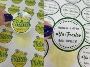 In ấn Vina – Công Ty TNHH Thiết Kế In ấn Vina