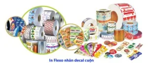In ấn Vina – Công Ty TNHH Thiết Kế In ấn Vina