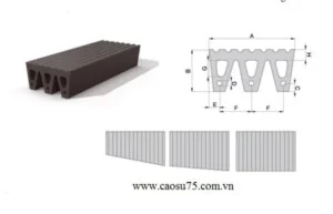Công Ty TNHH Một Thành Viên Cao Su 75
