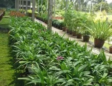 Công Ty TNHH Thiết Kế Xây Dựng Thương Mại Anh Khoa