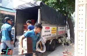 Kiến Vàng 247