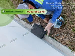 Diệt Mối Hạnh Long – Công Ty TNHH Một Thành Viên Dịch Vụ Hạnh Long