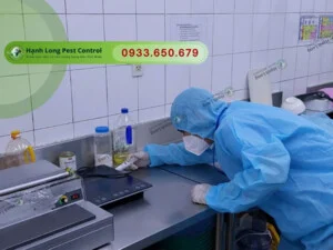 Diệt Mối Hạnh Long – Công Ty TNHH Một Thành Viên Dịch Vụ Hạnh Long