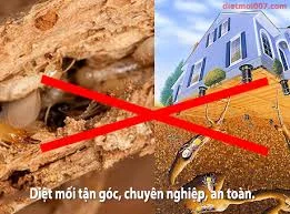 Diệt Côn Trùng 5S Nghệ An – Công Ty TNHH Thương Mại Và Dịch Vụ 5S